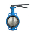 cast iron wafer type butterfly valve/with pin